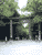 le torii
